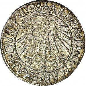 Lenne Prusy Książęce, Albrecht Hohenzollern, Grosz 1544, Królewiec