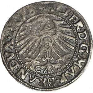 Lenne Prusy Książęce, Albrecht Hohenzollern, Grosz 1547, Królewiec
