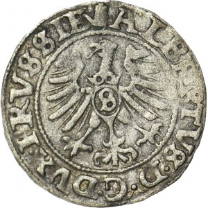 Lenne Prusy Książęce, Albrecht Hohenzollern, Szeląg 1558, Królewiec
