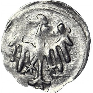 Śląsk, Jerzy z Podiebradu 1454-1462, Halerz bez daty, Lew/Orzeł, menniczy, R5, długie krótkie orła