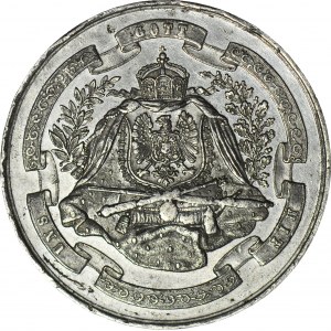 Medal 100-lecie przejęcia Malborka przez władze Pruskie, 1872 r.