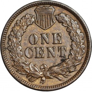 Stany Zjednoczone Ameryki (USA), 1 cent 1890, typ Indian Head, piękny