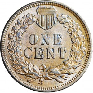 Stany Zjednoczone Ameryki (USA), 1 cent 1907, typ Indian Head, menniczy