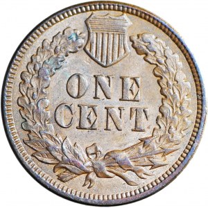 Stany Zjednoczone Ameryki (USA), 1 cent 1892, typ Indian Head, piękny