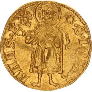 Václav I. (1348-1364), Goldgulden b.l., Lehnice Fr. 3136; Kop. 4907 3,51