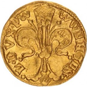 Václav I. (1348-1364), Goldgulden b.l., Lehnice Fr. 3136; Kop. 4907 3,51