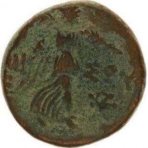 Pontos - Amissos, za Mithridata VI. (85-65 př. Kr.), AE 21, Hlava Aegis jako Gorgona čelně / kráčej