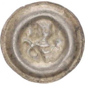 Přemysl II. (1253-1278), Brakteát střední C - 848, mělčí ražba
