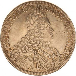 Karel VI. (1711-1740), Tolar 1721, Tyroly Hall Voglh. 259/2-3 var. ARCHID:AUST:D