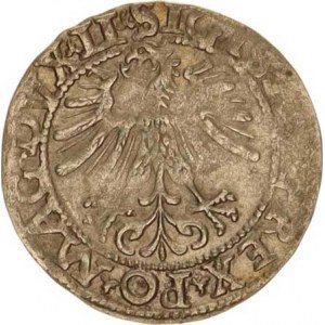 Polsko, Zikmund August (1545-1572), 1/2 groš litevský 1562 Zag. 65, mír. nedor.