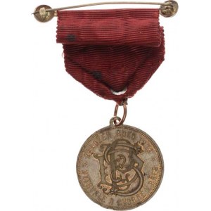Sportovní medaile a ceny, D S C Založen roku 1873 * Vytrvale a svorně vpřed* / Památka 20