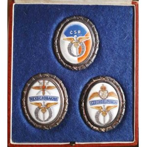 Československo - vojenské odznaky, Národní letecká sbírka 1946, tři letecké porcelánové oválné