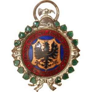 Hasičské medaile a odznaky, Slezsko - Zemská hasičská jednota ZA ZÁSLUHY b.l., Slezská orl
