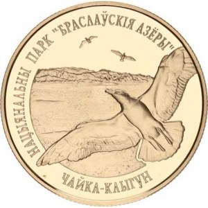 Bělorusko, 1 Rubl 2003 - Národní park, čajka /raž.5000 ks/