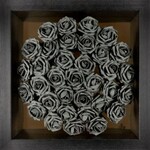 Svetlana Grishina, Ineffable flowers of diverse effect (night), 2019
