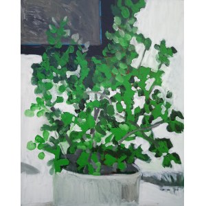 Leszek Drygalski, Etuda č. 6