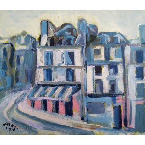 Leszek Drygalski, Sotto Parigi