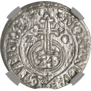 Zikmund III Vasa, polopostava 1620, Riga - Klíče - bez lišejníků - nádherný