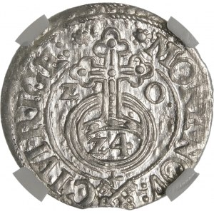 Sigismund III Vasa, Half-track 1620, Riga - Keys - no lichen - exquisite