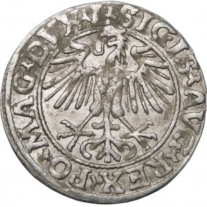 Sigismund II Augustus, Half-penny 1549, Vilnius - 9 Pogon, L/LITVA - rare
