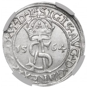 Sigismund II Augustus, Trojak 1564, Vilnius - L/L - ausgezeichnet