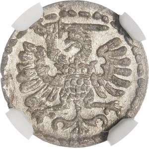 Sigismund III. Vasa, Denar 1595, Danzig