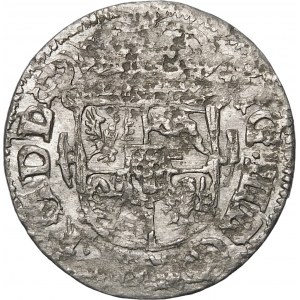 Sigismund III. Vasa, Halbspur 1619, Vilnius - selten