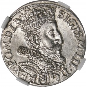 Zikmund III Vasa, Trojak 1601, Krakov - hlava vpravo - nádhera