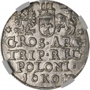 Sigismund III Vasa, Trojak 1601, Krakau - Kopf nach rechts - schön