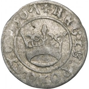 Sigismund I. der Alte, Halbpfennig 1507, Krakau - geneigt 7