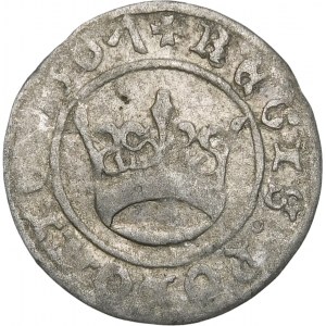 Zikmund I. Starý, půlgroš 1507, Krakov - skloněný 7