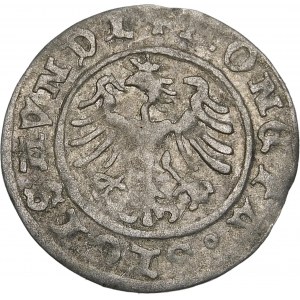 Zikmund I. Starý, půlgroš 1507, Krakov - skloněný 7