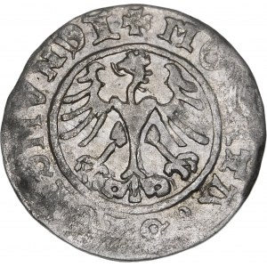 Sigismund I. der Alte, Halbpfennig 1511, Krakau