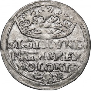 Zikmund I. Starý, Grosz 1528, Krakov - rozety