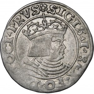 Sigismund I the Old, Penny 1530, Torun - from left