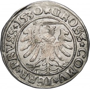 Žigmund I. Starý, Grosz 1530, Toruň - sprava