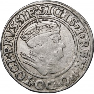 Sigismund I. der Alte, Grosz 1535, Toruń - mit Mütze und Krone