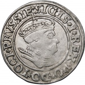 Žigmund I. Starý, Grosz 1535, Toruň - s čiapkou a korunou