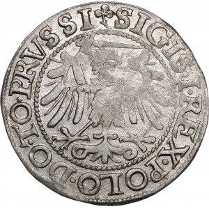 Sigismund I the Old, Penny 1540, Elbląg