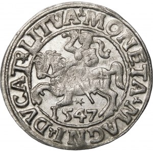 Sigismund II Augustus, Half-penny 1547, Vilnius - LI/LITVA - smaller A - rare