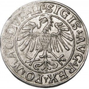 Sigismund II Augustus, Halbpfennig 1548, Wilna - Römer I, LI/LITVA