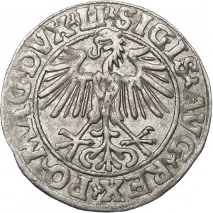 Zygmunt II August, Półgrosz 1549, Wilno – 9 Pogoń, LI/LITVA