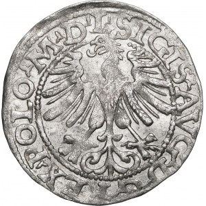 Žigmund II August, polgroš 1565, Vilnius - 22 Pogon, sekera, L/LITV