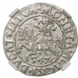 Sigismund II. Augustus, Halbpfennig 1547, Wilna - LI/LITVA