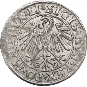 Sigismund II Augustus, Half-penny 1547, Vilnius - LI/LITVA