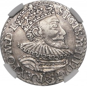 Sigismund III Vasa, Troika 1592, Malbork