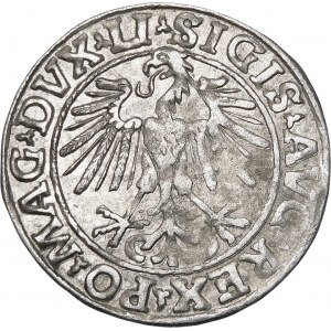 Sigismund II Augustus, Halbpfennig 1548, Wilna - Römer I, LI/LITVA