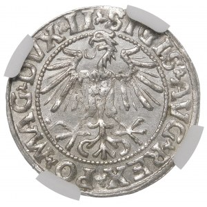 Sigismund II Augustus, Half-grosz 1549, Vilnius - 9 Pogon, LI/LITVA