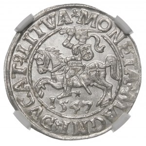 Žigmund II August, polgroš 1547, Vilnius - LI/LITVA - krásna