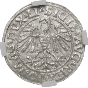 Zygmunt II August, Półgrosz 1547, Wilno – LI/LITVA – piękny
